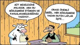 sozlesme-maddeleri-karikatur.jpg