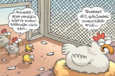 konu_1598.jpg