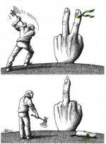 2a9b819eaa4cbc0527f4926cca1f5dd2.jpg