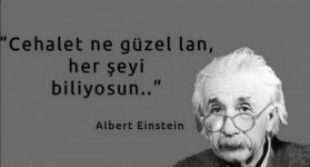 70bb252fac143cf5ffec07a4fd941a28.jpg