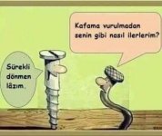 44564ed8686d630d3be6dd9cfcce852e.jpg