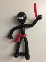 Ninja twis-2.JPG
