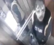 Adsız.png Adsız.png
