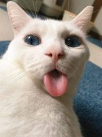images-23.jpeg