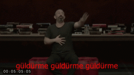 giphy.gif