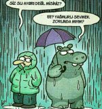 46ed6a64f7a05cdb040a425c8f9cfbb8.jpg