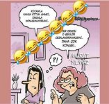 d7da69a67db4d65c9b0491f39d3bb118.jpg