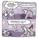 a22eca8a8c80418ea9a0790950e53cc6.jpg