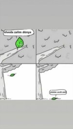 81c37bcbaf29fc2e2fc34a293f89b13b.jpg