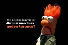 0231db2b6e6249bec15ac63b42bab500.jpg