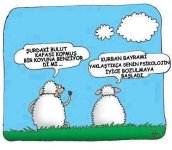 a8a0855abf46d0c8b67b3fc85f71d7d5.jpg