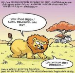 3352db3bd98b7b59d482e9598b9fc553.jpg