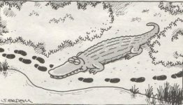 SerKan1923 (77).jpg