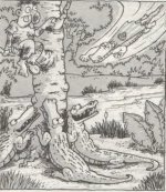 SerKan1923 (78).jpg