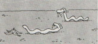 SerKan1923 (91).jpg