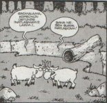 SerKan1923 (11).jpg
