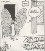 SerKan1923 (35).jpg
