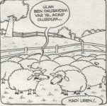 SerKan1923 (63).jpg
