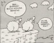 SerKan1923 (16).jpg