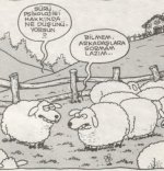 SerKan1923 (17).jpg