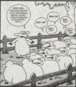 SerKan1923 (24).jpg