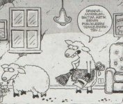 SerKan1923 (25).jpg
