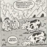 SerKan1923 (49).jpg