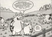 SerKan1923 (51).jpg