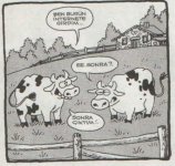 SerKan1923 (56).jpg