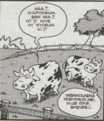 SerKan1923 (57).jpg