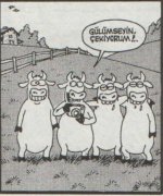 SerKan1923 (60).jpg