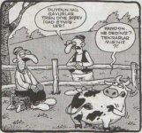 SerKan1923 (63).jpg