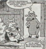 SerKan1923 (65).jpg