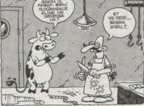 SerKan1923 (66).jpg