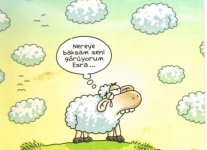 SerKan1923 (2).jpg