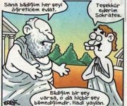 images (4).jpeg