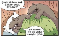SerKan1923  (97).jpg