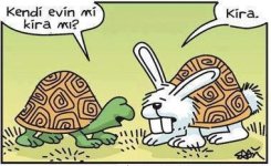 SerKan1923  (112).jpg