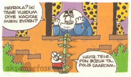 SerKan1923 (70).jpg