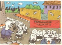 SerKan1923 (103).jpg