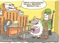 SerKan1923 (142).jpg