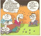 SerKan1923 (243).jpg