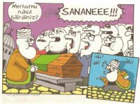 SerKan1923 (286).jpg