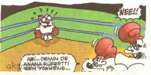 SerKan1923 (288).jpg