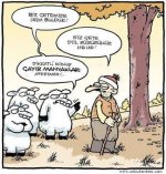 images (49).jpeg