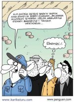 images (51).jpeg