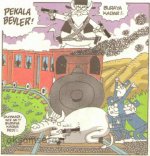 SerKan1923 (473).jpg