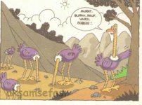 SerKan1923 (493).jpg
