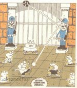 SerKan1923 (551).jpg