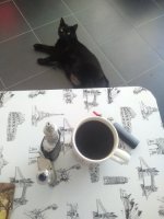 IMG_20200729_082318.jpg